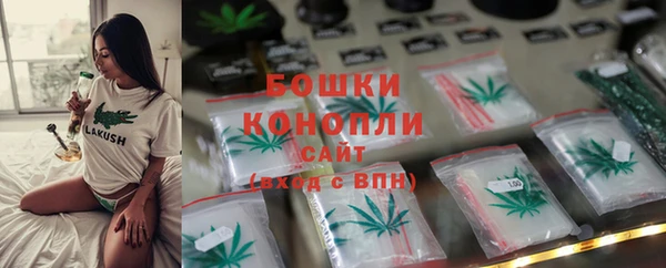 шишки Сосновоборск