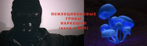 экстази Бородино