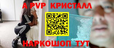 jwh Кингисепп