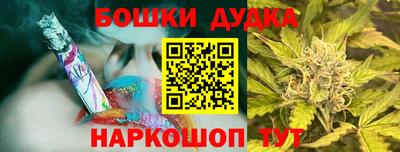 jwh Кингисепп