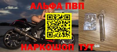 jwh Кингисепп