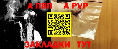 jwh Кингисепп