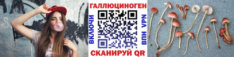 Псилоцибиновые грибы мицелий  продажа наркотиков  Славянск-на-Кубани 