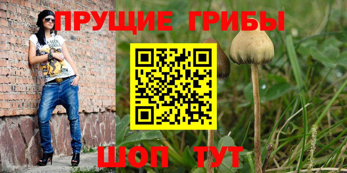Галлюциногенные грибы Magic Shrooms  Галлюциногенные грибы Psilocybe  Вход с VPN  Славянск-на-Кубани 
