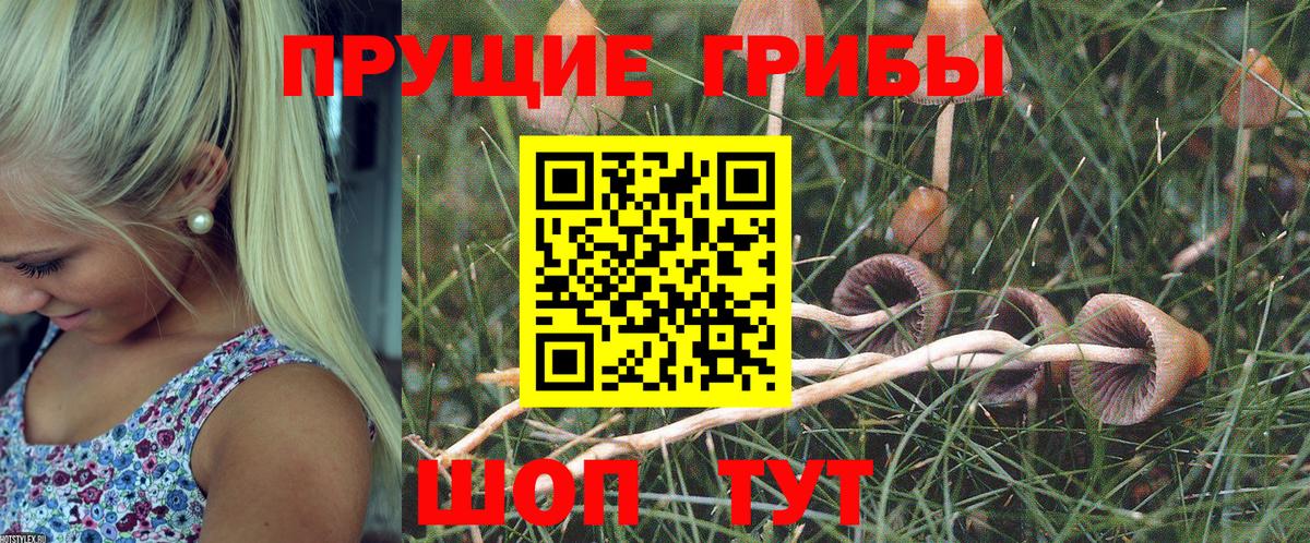 Галлюциногенные грибы мухоморы Славянск-на-Кубани